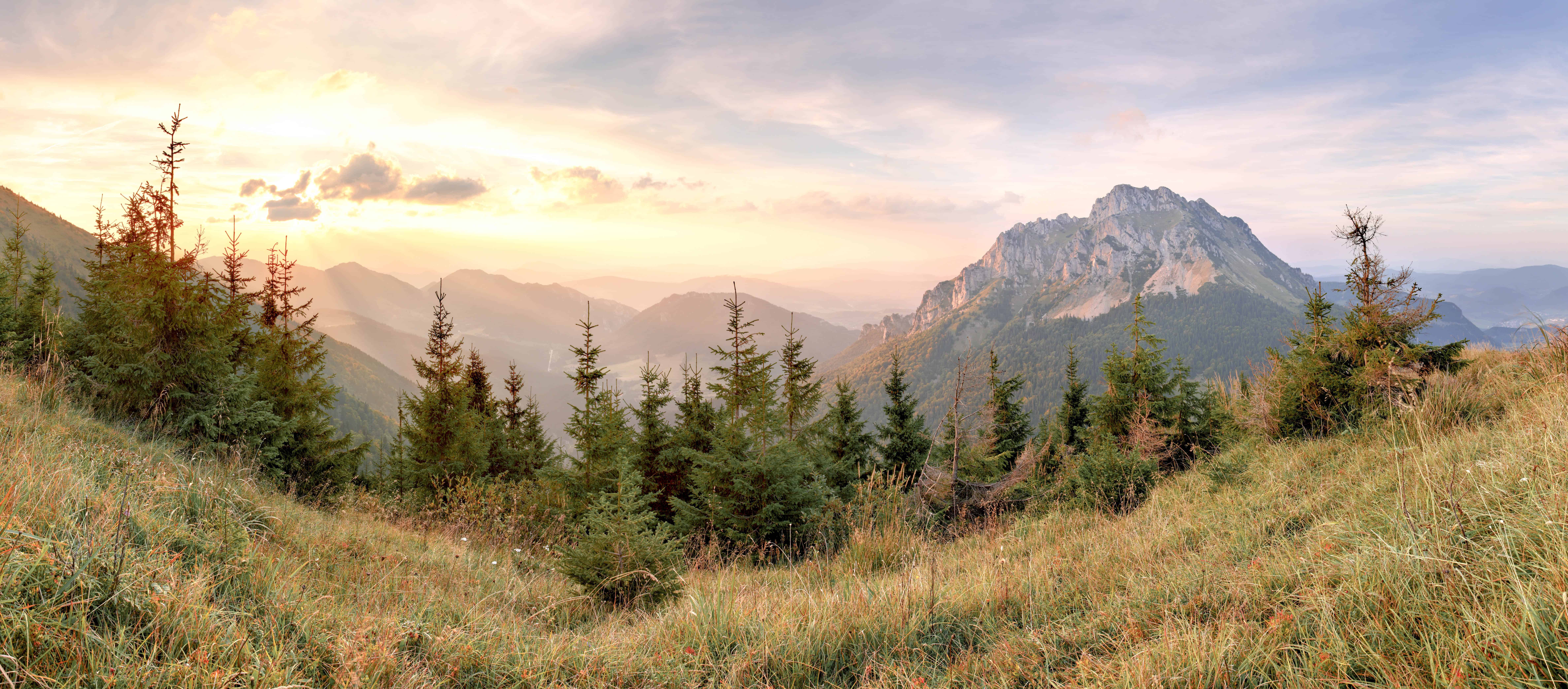 AdobeStock_71074934